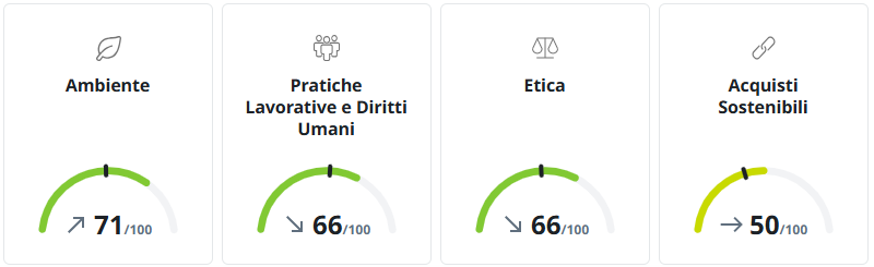 Dashboard EcoVadis — valutazione sostenibilità Z.C. S.r.l.